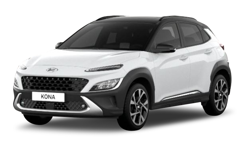 아틀라스 화이트 익스테리어